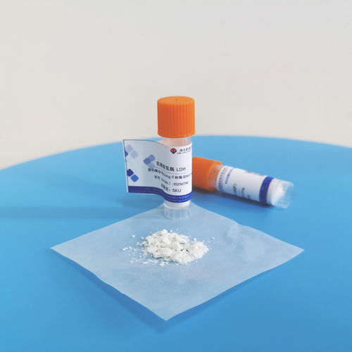 Latest company news about L'attività della glicerolo chinasi è soggetta a inattivazione? Non perderti questi dettagli!