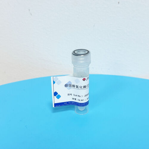 Latest company news about Segreto di conservazione del preparato enzimatico: protezione scientifica dell'attività catalitica