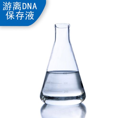 Latest company news about Soluzione di conservazione del DNA gratuita: il cervello dietro lo screening non invasivo